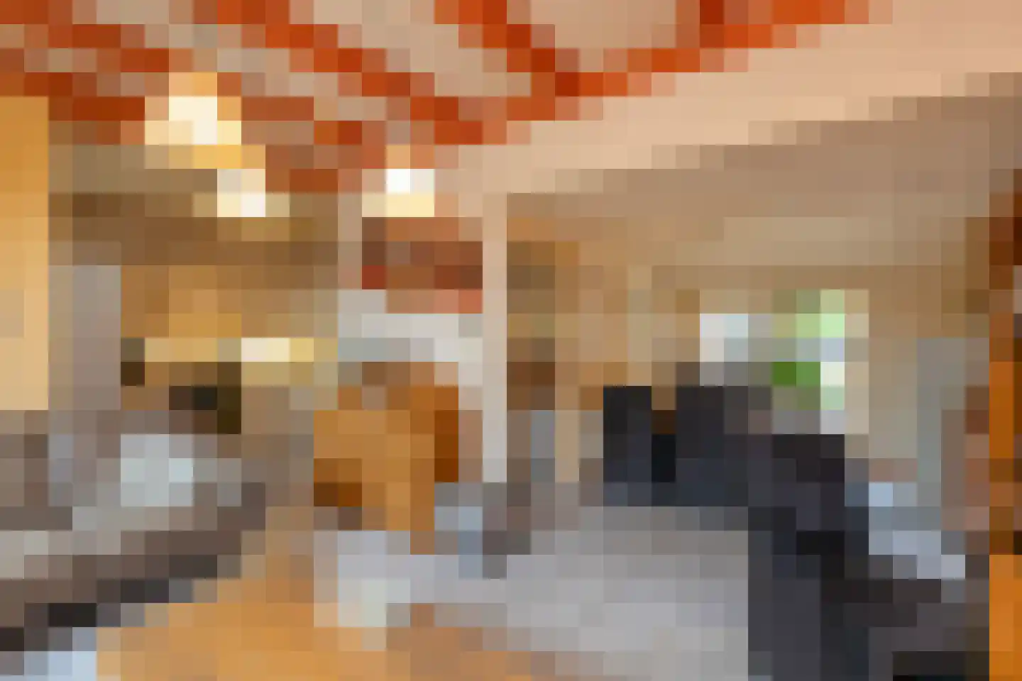 Wilgenhoekweg 9 Serooskerke thumbnail 7