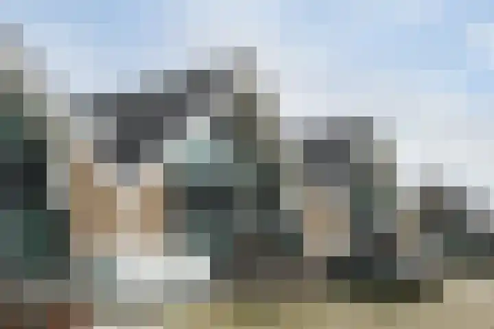 Wilgenhof 10 Woubrugge thumbnail 18