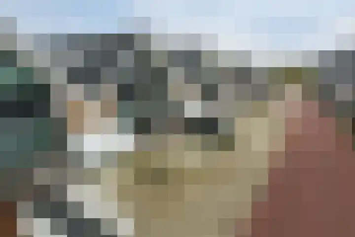 Wilgenhof 10 Woubrugge thumbnail 19