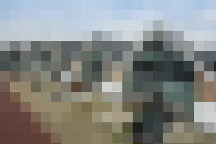 Wilgenhof 10 Woubrugge thumbnail 20