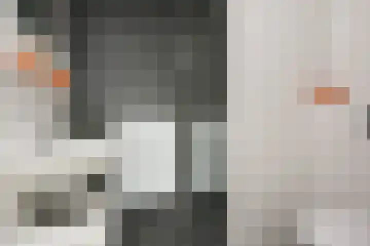 Wilgenhof 10 Woubrugge thumbnail 5