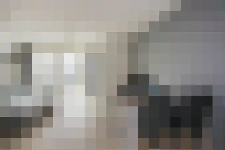 Wilgenhof 10 Woubrugge thumbnail 8