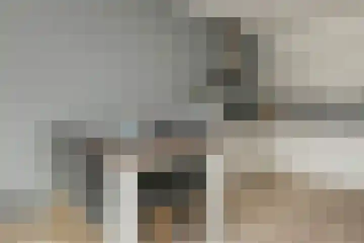 Wilgenhof 10 Woubrugge thumbnail 9