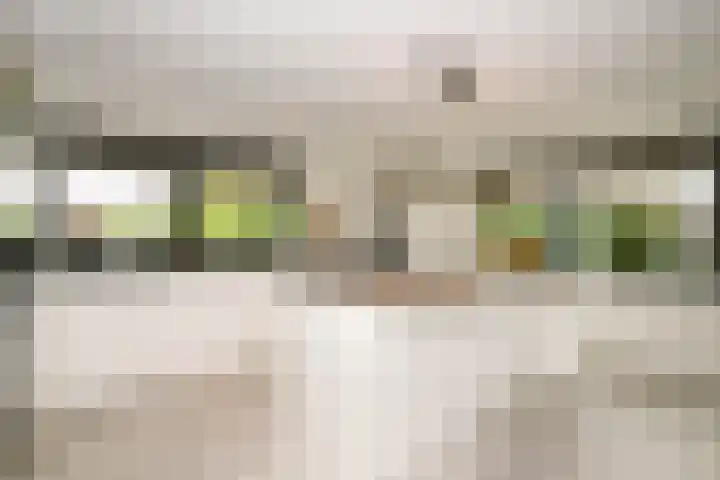 Wilgenhof 12 Berkenwoude thumbnail 10