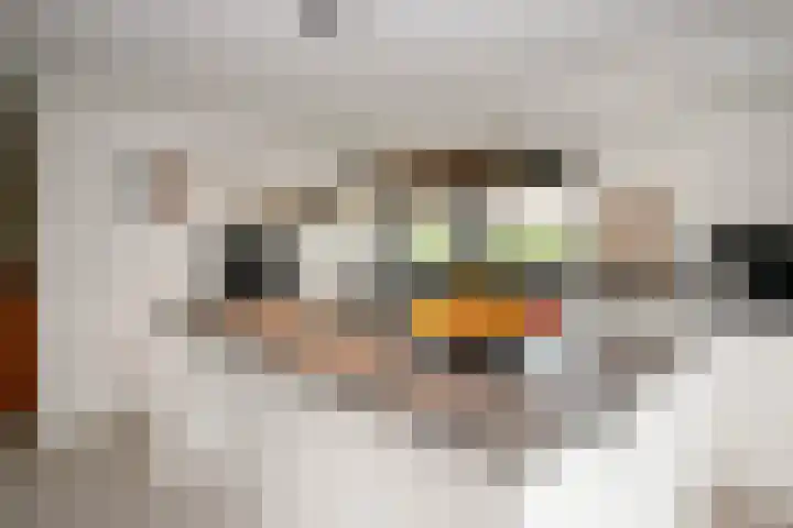 Wilgenhof 12 Berkenwoude thumbnail 11
