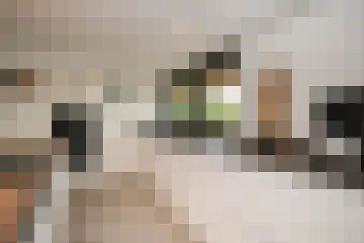 Wilgenhof 12 Berkenwoude thumbnail 12
