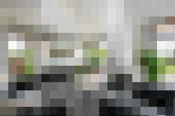 Wilgenhof 12 Berkenwoude thumbnail 16