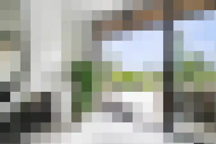 Wilgenhof 12 Berkenwoude thumbnail 20
