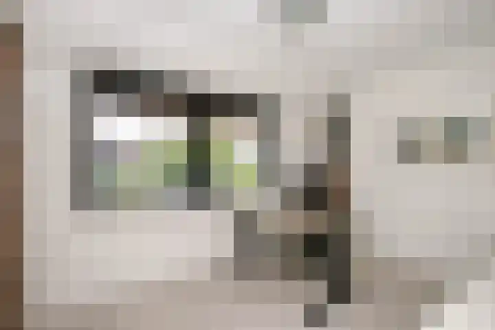 Wilgenhof 12 Berkenwoude thumbnail 22