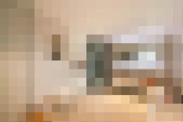 Wilgenhof 12 Berkenwoude thumbnail 25