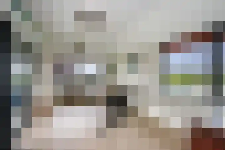 Wilgenhof 12 Berkenwoude thumbnail 33