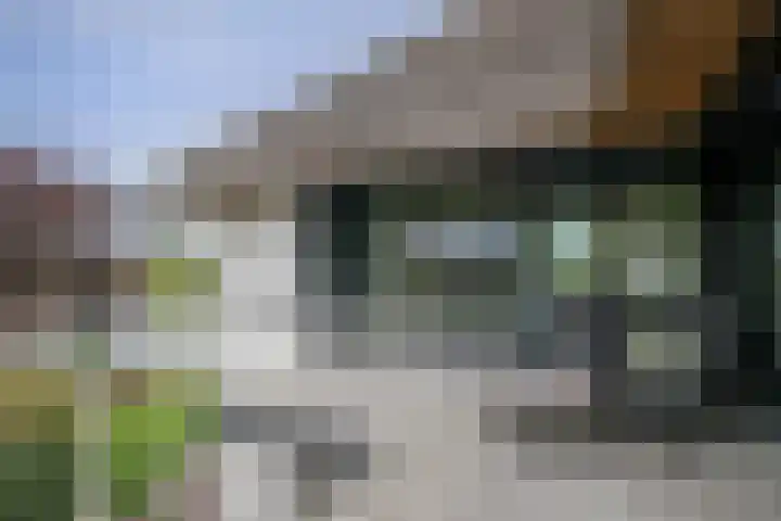 Wilgenhof 12 Berkenwoude thumbnail 35