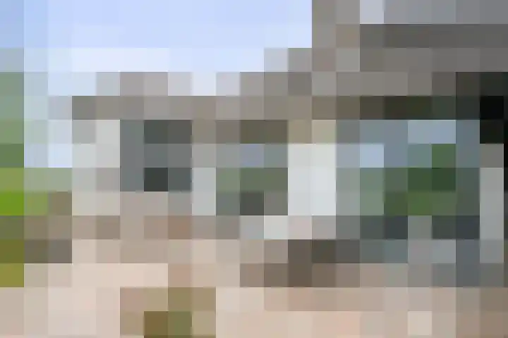 Wilgenhof 12 Berkenwoude thumbnail 50