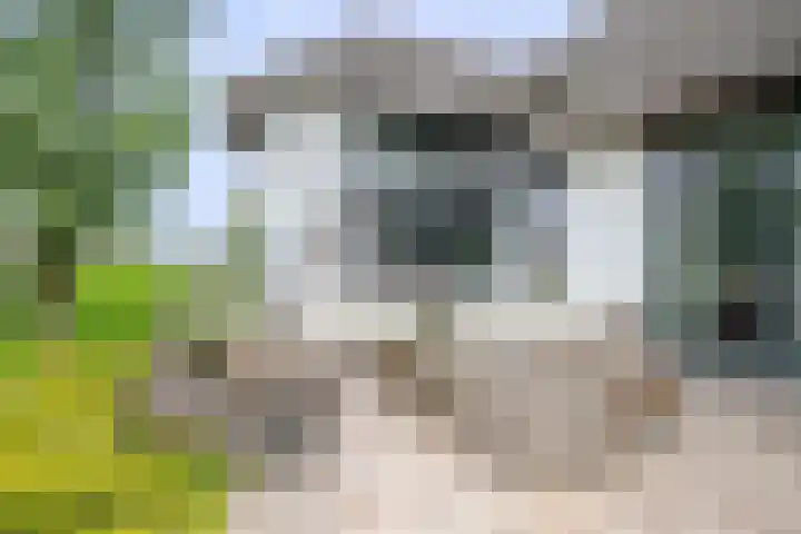 Wilgenhof 12 Berkenwoude thumbnail 51