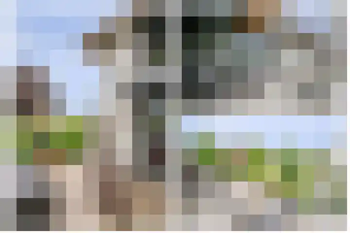 Wilgenhof 12 Berkenwoude thumbnail 52