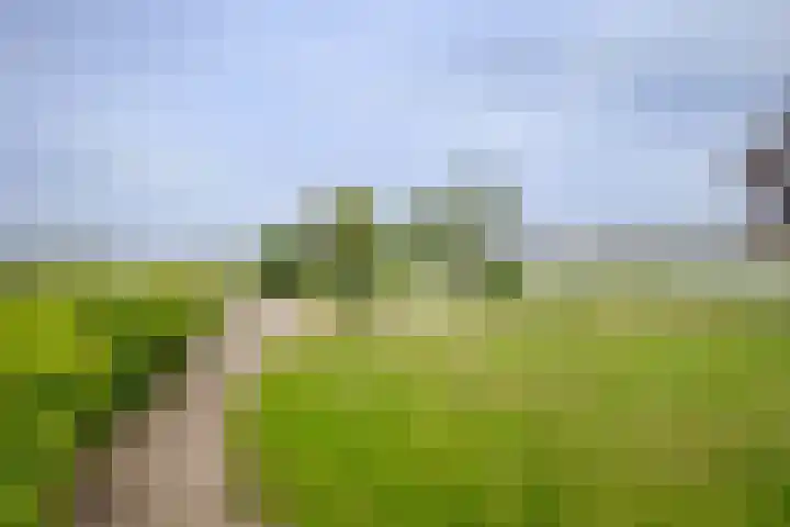 Wilgenhof 12 Berkenwoude thumbnail 55