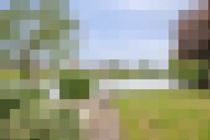 Wilgenhof 12 Berkenwoude thumbnail 56