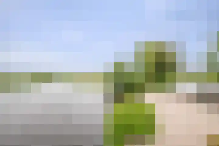 Wilgenhof 12 Berkenwoude thumbnail 57