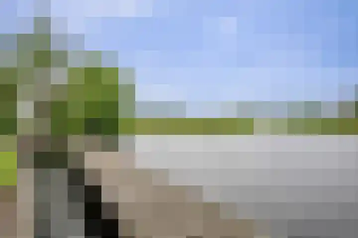Wilgenhof 12 Berkenwoude thumbnail 59