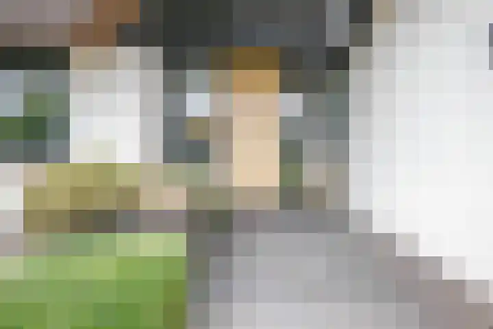 Wilgenhof 12 Berkenwoude thumbnail 6