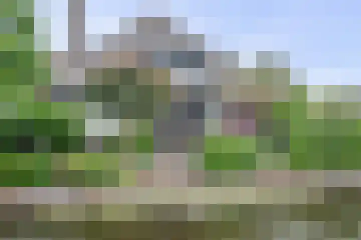 Wilgenhof 12 Berkenwoude thumbnail 60