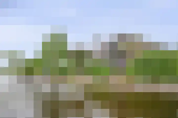 Wilgenhof 12 Berkenwoude thumbnail 62