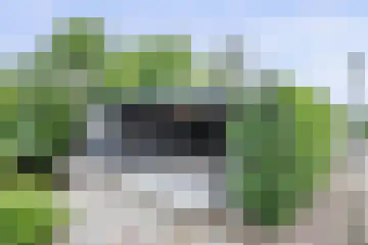 Wilgenhof 12 Berkenwoude thumbnail 64
