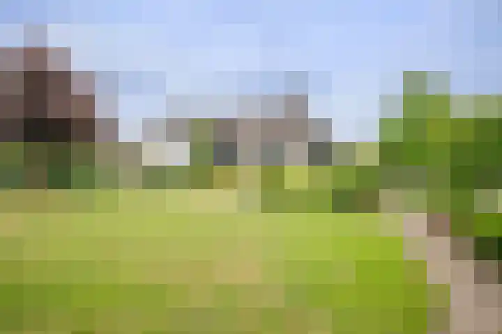 Wilgenhof 12 Berkenwoude thumbnail 65