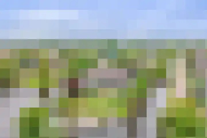 Wilgenhof 12 Berkenwoude thumbnail 66