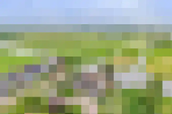Wilgenhof 12 Berkenwoude thumbnail 67