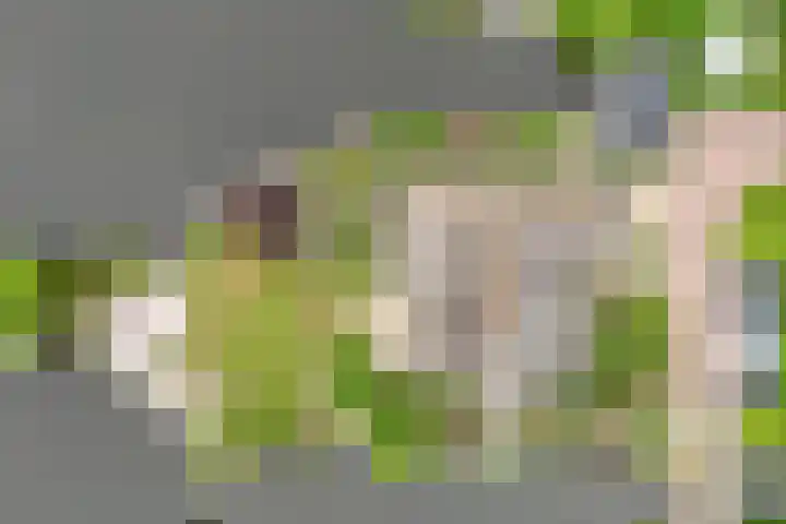Wilgenhof 12 Berkenwoude thumbnail 68
