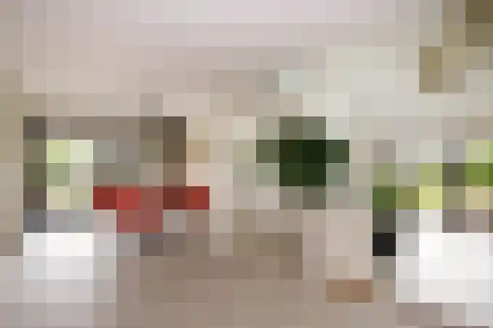 Wilgenhof 12 Berkenwoude thumbnail 9