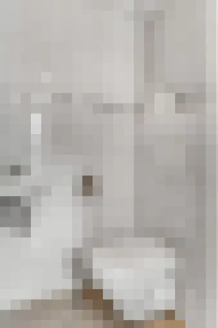 Wilgenhof 12 Gendt thumbnail 10