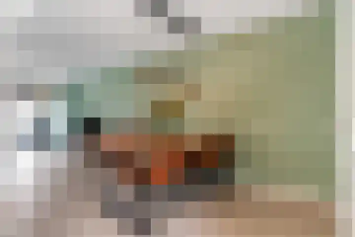 Wilgenhof 12 Gendt thumbnail 12