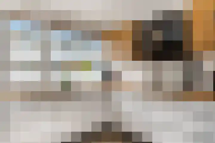 Wilgenhof 12 Gendt thumbnail 14