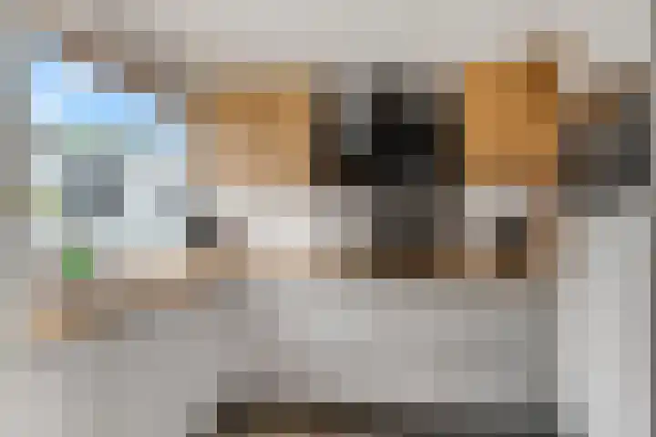 Wilgenhof 12 Gendt thumbnail 16