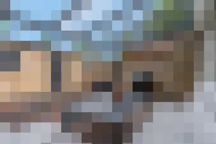 Wilgenhof 12 Gendt thumbnail 39