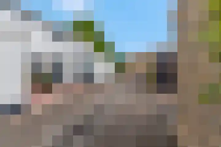 Wilgenhof 12 Gendt thumbnail 43