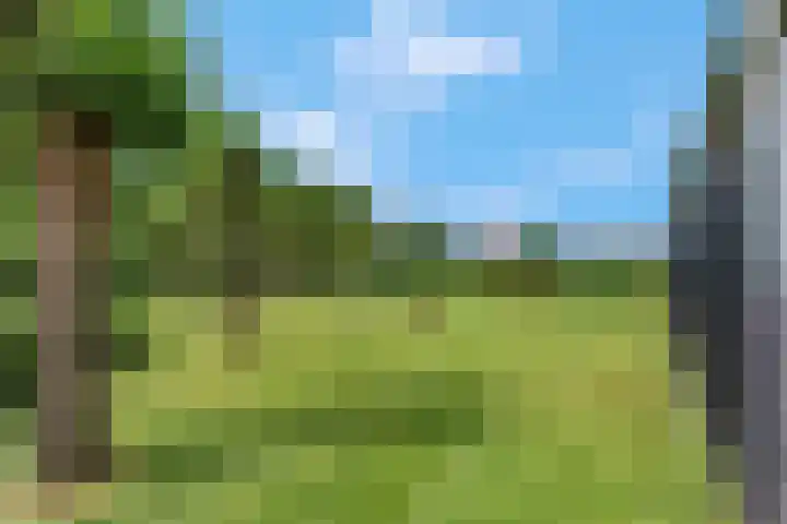Wilgenhof 12 Gendt thumbnail 44