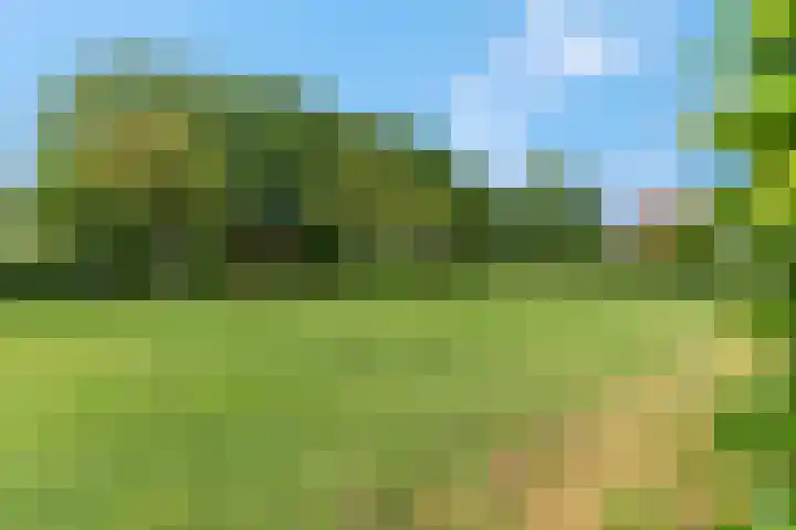 Wilgenhof 12 Gendt thumbnail 45