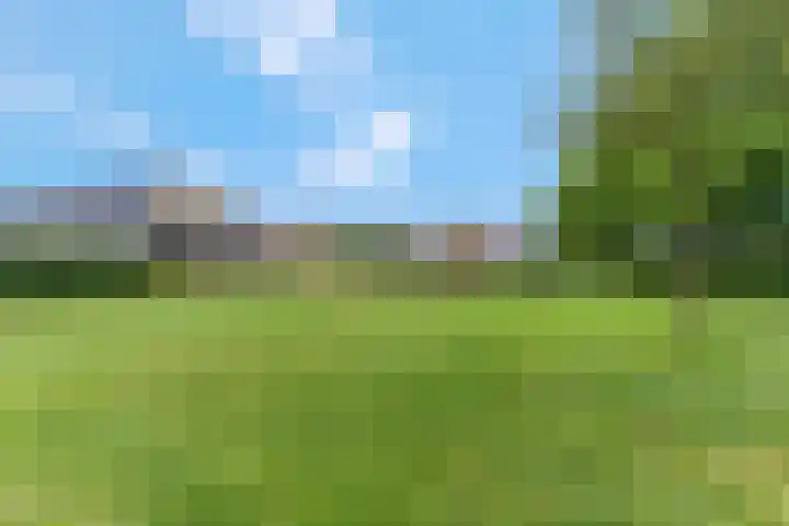 Wilgenhof 12 Gendt thumbnail 46