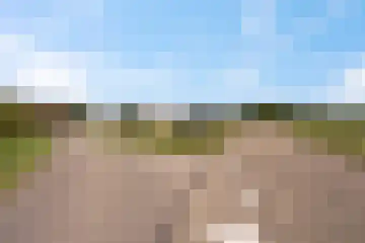 Wilgenhof 12 Gendt thumbnail 47