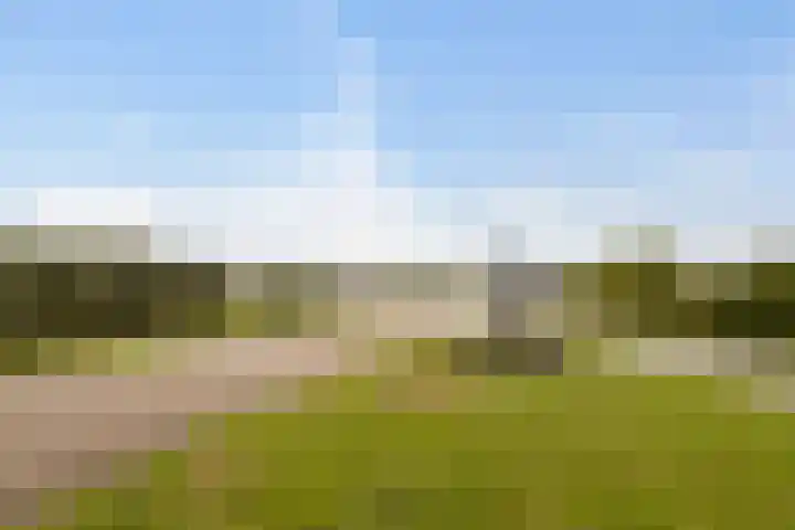 Wilgenhof 12 Gendt thumbnail 48
