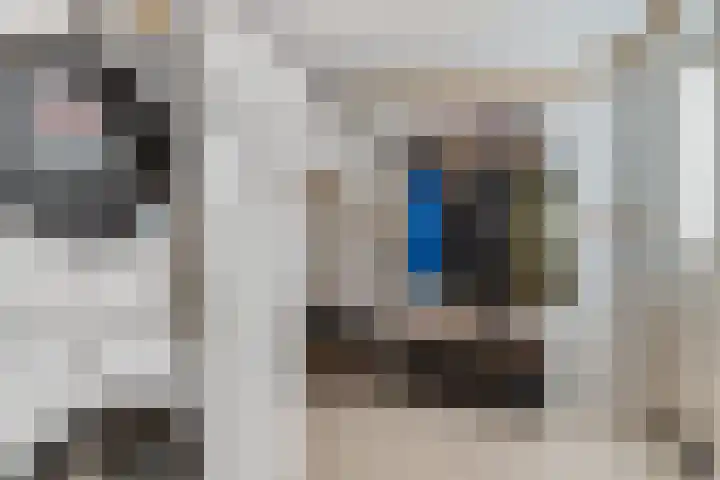 Wilgenhof 12 Gendt thumbnail 8