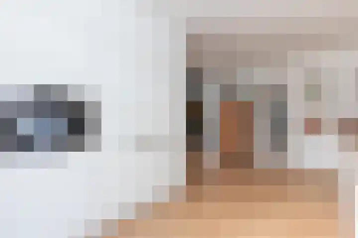 Wilgenhof 12 Hattem thumbnail 12