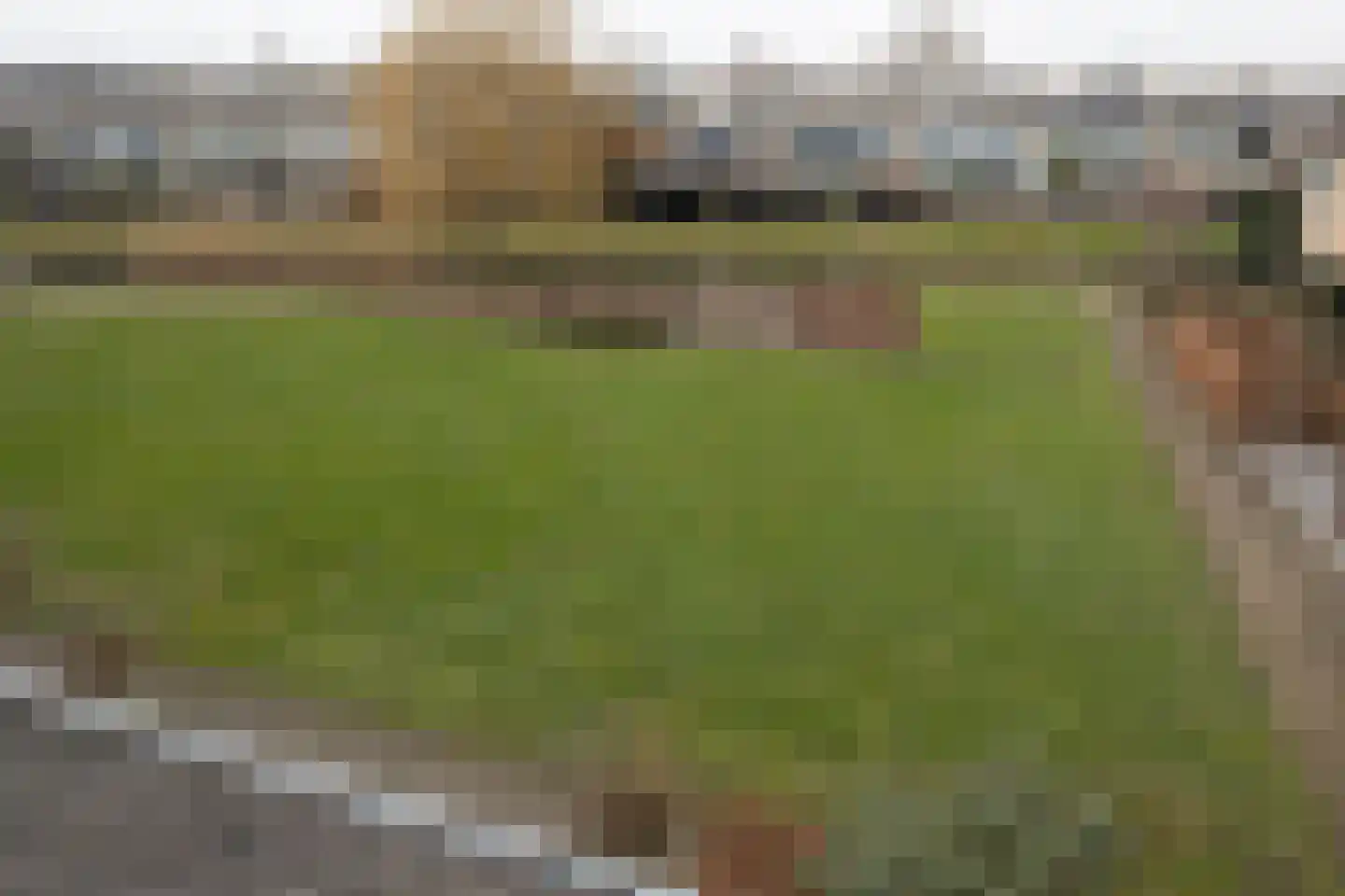 Wilgenhof 12 Hattem thumbnail 31
