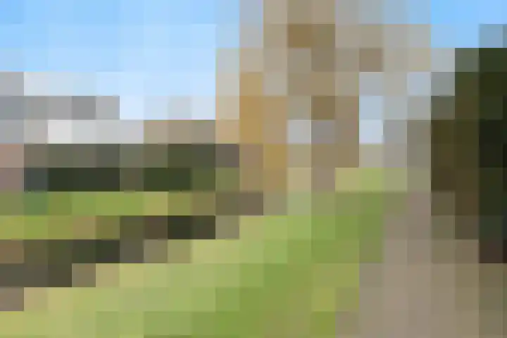 Wilgenhof 12 Hattem thumbnail 32