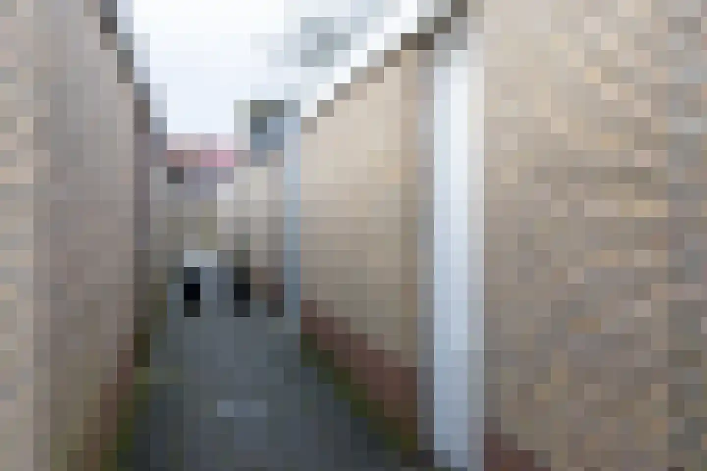 Wilgenhof 12 Hattem thumbnail 39