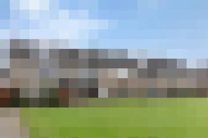 Wilgenhof 12 Hattem thumbnail 4