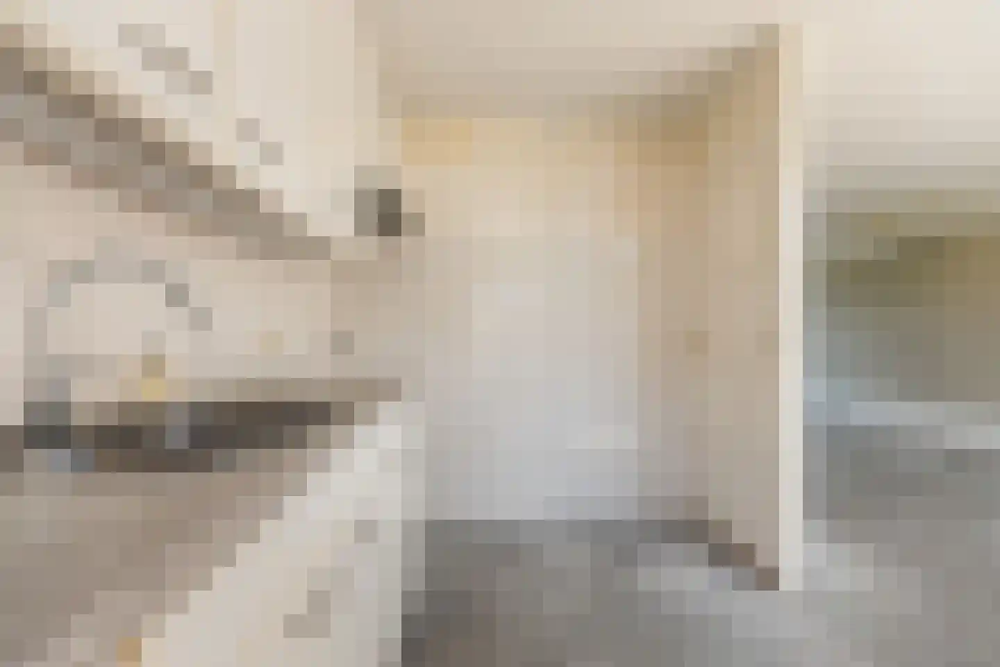 Wilgenhof 12 Leersum thumbnail 16